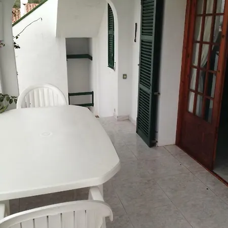 Aranya